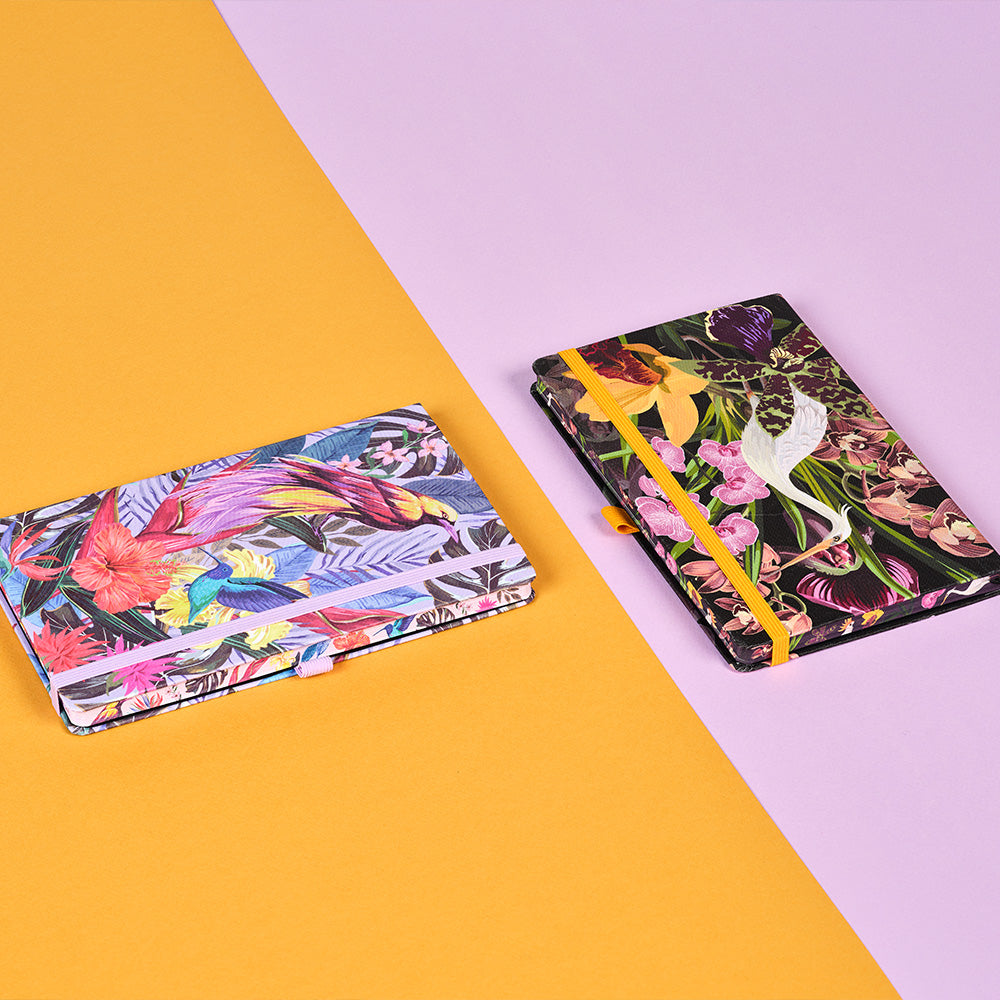 ノート OASIS (オアシス) 罫線 ミディアムサイズ / EDEN