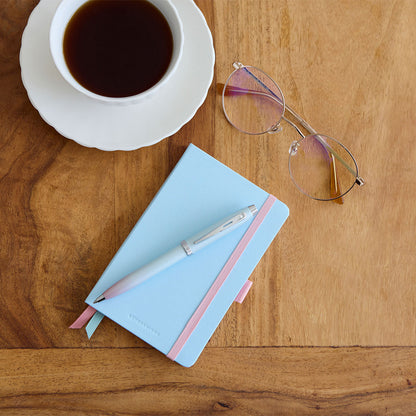 ボールペン Sheaffer® 100 パールグラデーション / EXPRESSIONS ( エクスプレッションズ )