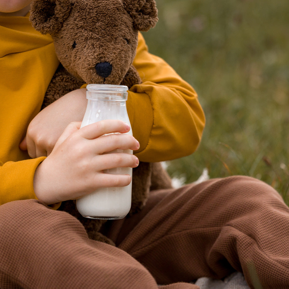 ぬいぐるみ Bear ( くま ) ブラウン small / Floppy Animal