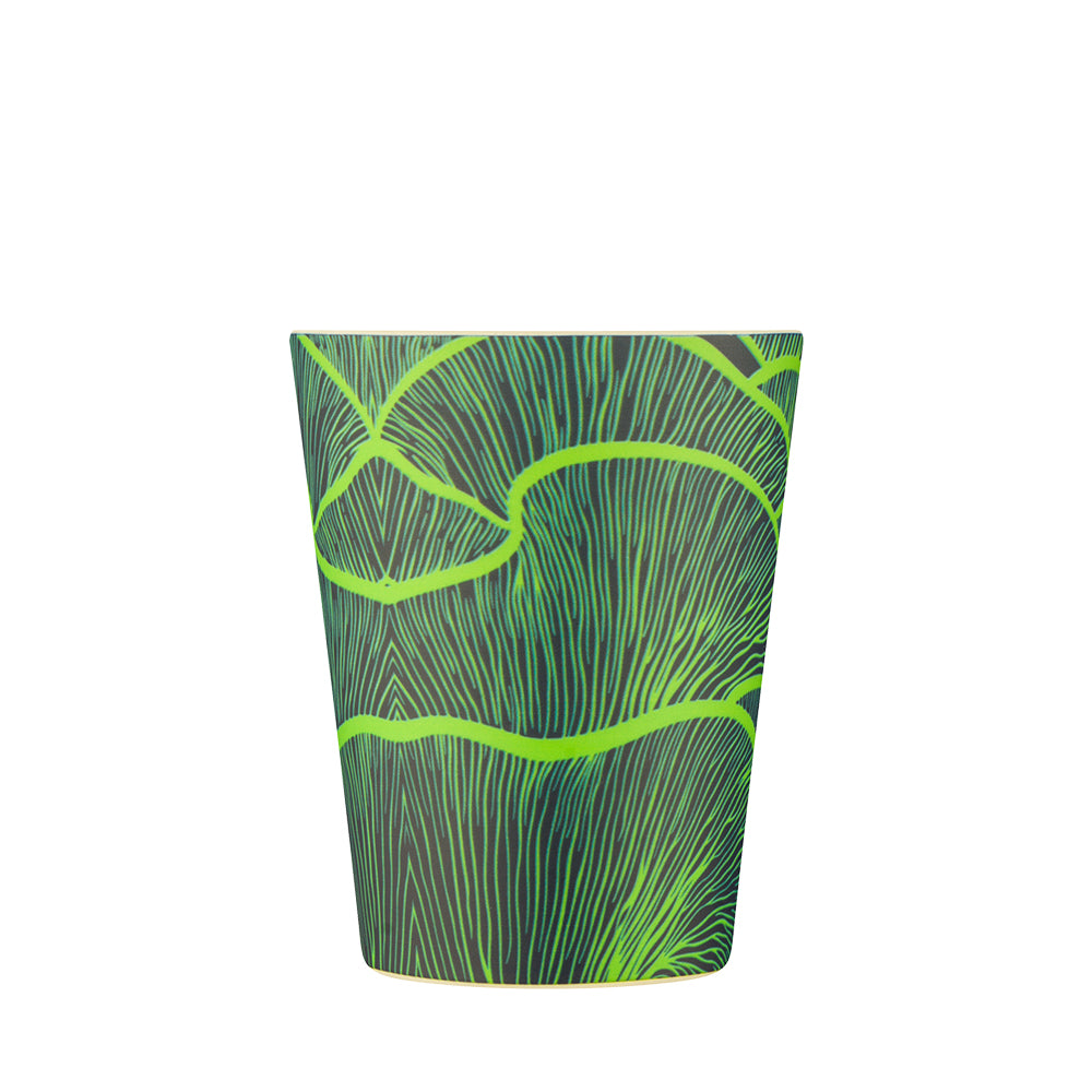タンブラー Bloodwood（ブラッドウッド） 350ml / Main Collection